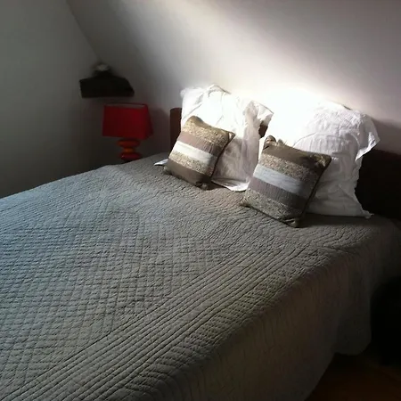 La Demeure De Laclais 3* لو مان